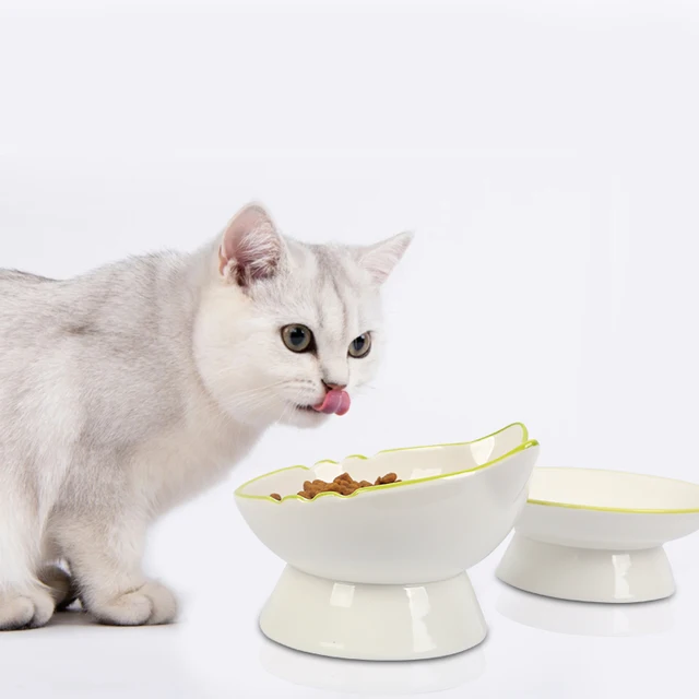 Raised Cat Bowl Elevated Cat Food Bowl Stable Protect Pet's Spine Durable Pet Feeding Dish Kitten Water Bowl for Cats Dogs