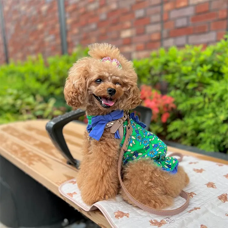 Pet Dog Maltese Teddy Vest Cotton Floral Bow Stand-up Collar Dress