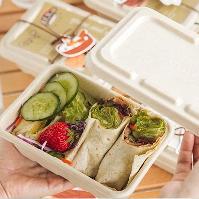 https://ae01.alicdn.com/kf/S3e7763ee576c4561acc14e6a445f6423O/10Pcs-Degradable-Paper-Lunch-Box-Disposable-Meal-Prep-Containers-Takeaway-Food-Packaging-Boxes-For-Kitchen-Home.jpg