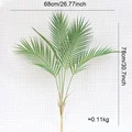 5 forked palm leaf A