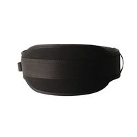 Adjustable Dip Belt For Pull Up&Squat Weightlifting Training,Durable and sturdy Belt Waist for 80-110cm 2
