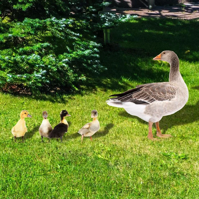 Kültéri Szobrok Kacsák Figure Jim Shore Gnomes Figurák Tétek Fűnyíró Állati Kerti Jel Dekoráció Akril - Image 2