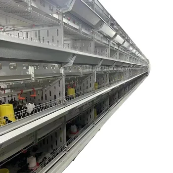 Chicken Cage Poultry Cage Large Intelligent Automatic Feeding Automatic Egg Collection with Egg Collection System 1