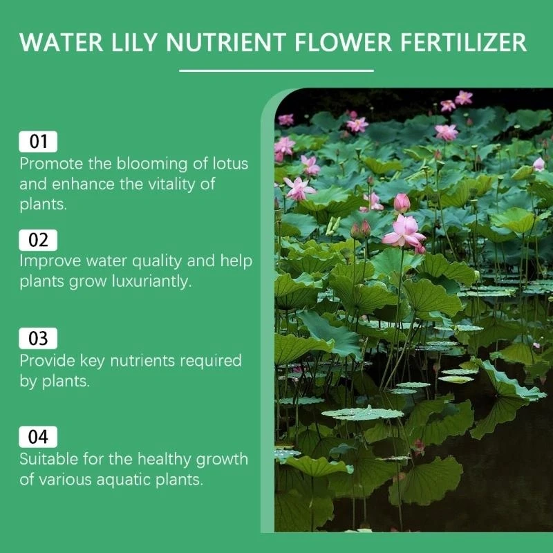 Balanced Nutrient Formula Flower Fertilizers For Water Lilies Health Development K2WE