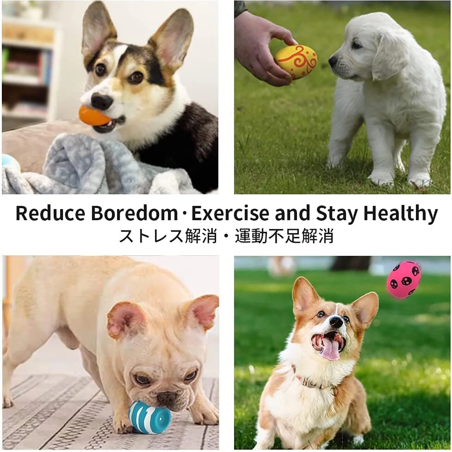 SCGK bouncy egg Dog Toys Funny Ball Squeaky Latex Bouncy Egg with Squeaker for Puppy Small Pet Dogs Soft Rubber Sound 4