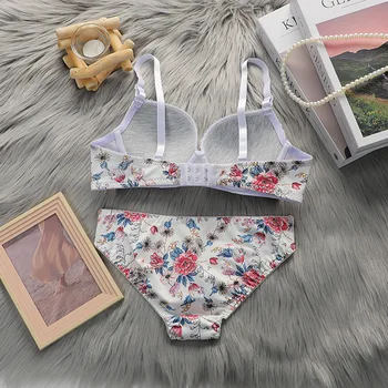 مثير حمالة صدر ولباس داخلي مجموعة الملابس الداخلية النسائية مثير جميلة مجموعات الساخن ملابس داخلية ساخنة للسيدات الإناث الملابس الداخلية فرقة ينغيرييس فام 2