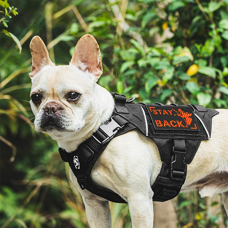 Frenchie Harness,Best Tactical Dog Harness with 16 Pouches for French  Bulldogs,Weighted Dog Vest for Small Dogs to Build Muscle - AliExpress