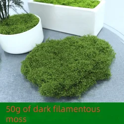 Artificial Green Moss for Home and Garden Decoration - Lifelike Mini Landscape Decor (Dark green 50g Moss)