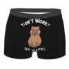 Capy Man's Boxer Briefs Capybara Highly Breathable Underwear Top Quality Print Shorts Birthday Gifts 1