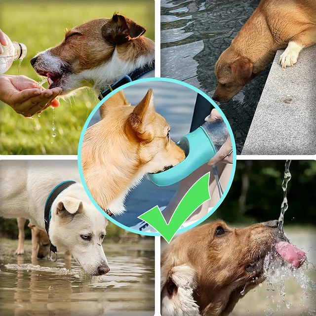 1Pcs Premium Portable Dog Water Bottle with Built-in Drinking Bowl – Leak-Proof Travel Solution for Puppies & Small Dogs 4