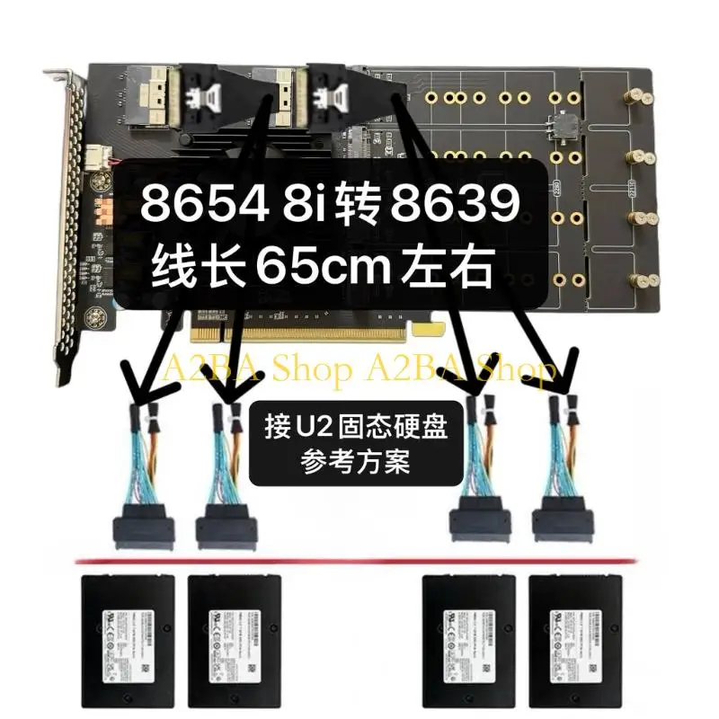 A2BA 고밀도 스토리지 확장 12개의 NVMe 슬롯 PCIe4.0 성능 팬리스 디자인