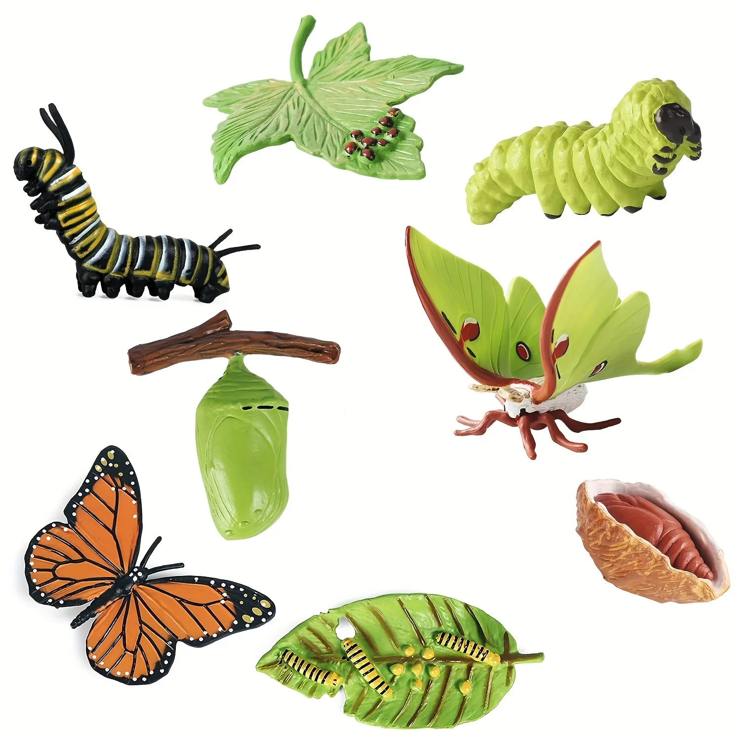 4pcs Butterfly Life Cycle Kit Lifestyle Stages of Monarch Butterfly Teaching Tools for Kids Students 4