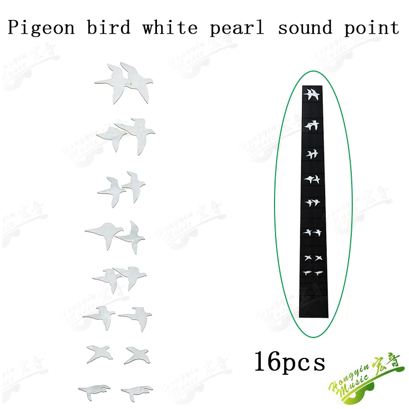 Pigeon bird