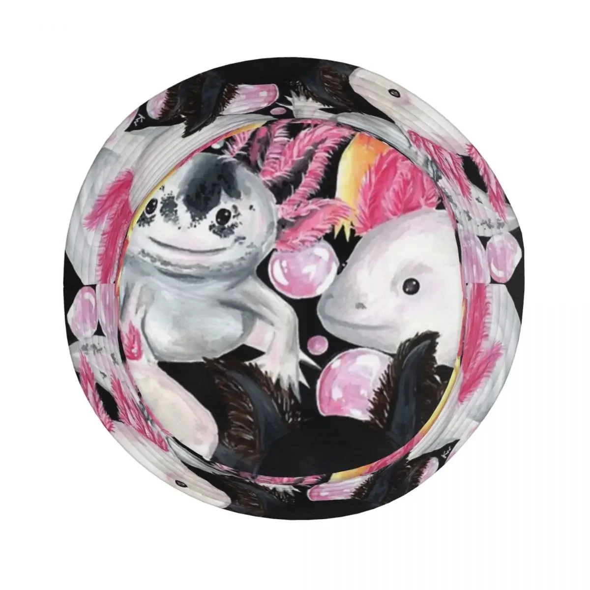 Axolotl ٴ  Ŷ , ĳ ,   , ߿   ,   