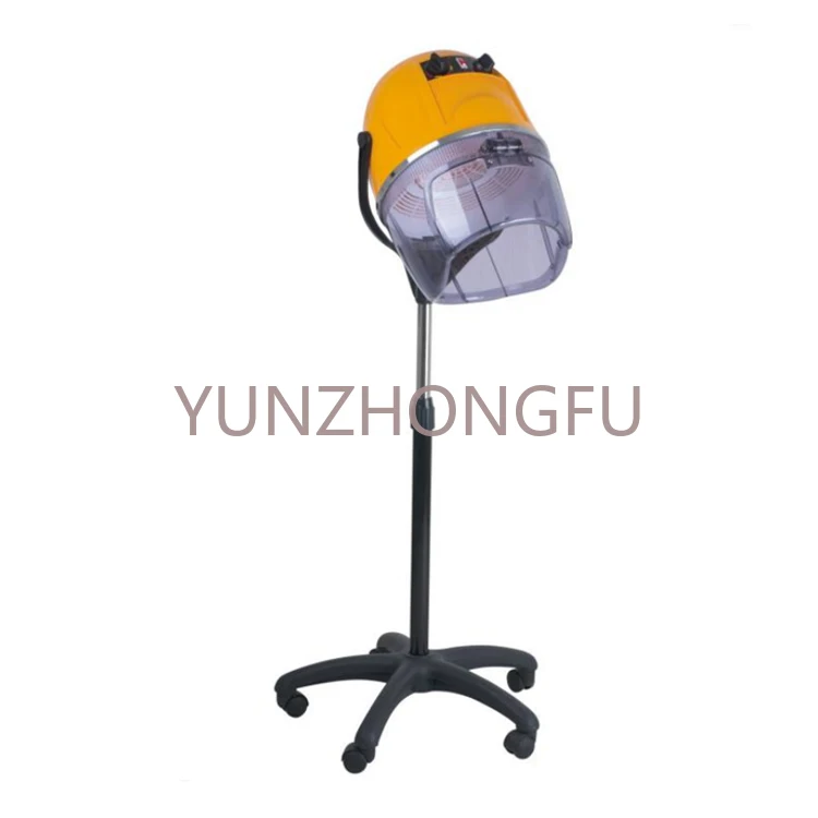 

High Quality 1-3 Years Warranty Classic Modern Style Hair Steamer