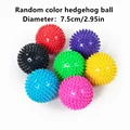 1Pcs Hedgehog ball