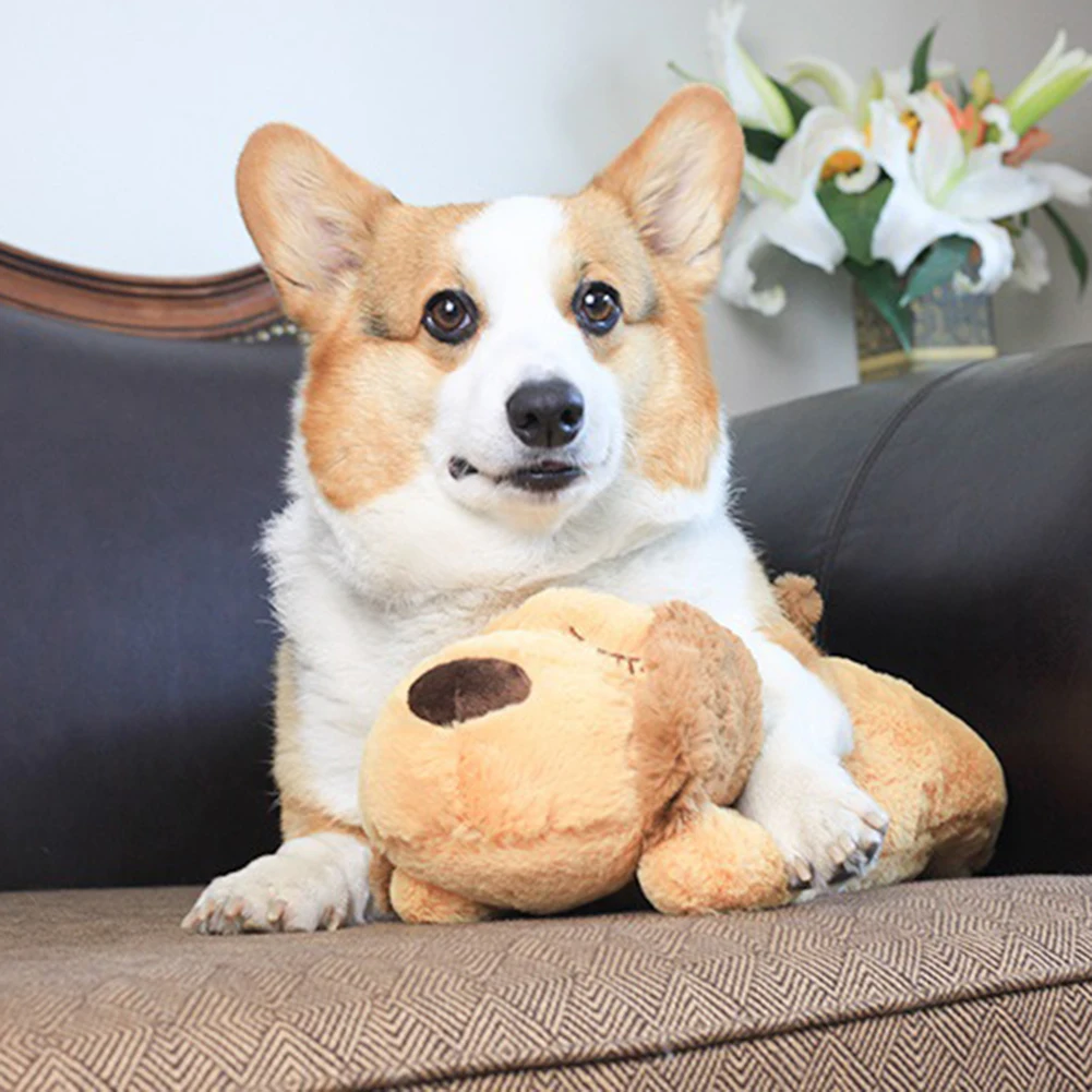 https://ae01.alicdn.com/kf/S3e91d3cf44c146bb9ec09ecec0de9a58X/Cute-Heartbeat-Puppy-Behavioral-Training-Toy-Plush-Pet-Comfortable-Snuggle-Anxiety-Relief-Sleep-Aid-Doll-Durable.jpg