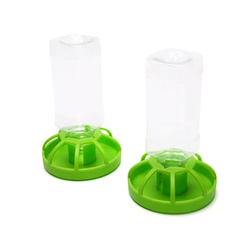Reptile Feeding and Water Dish 1