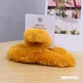 Ginger
