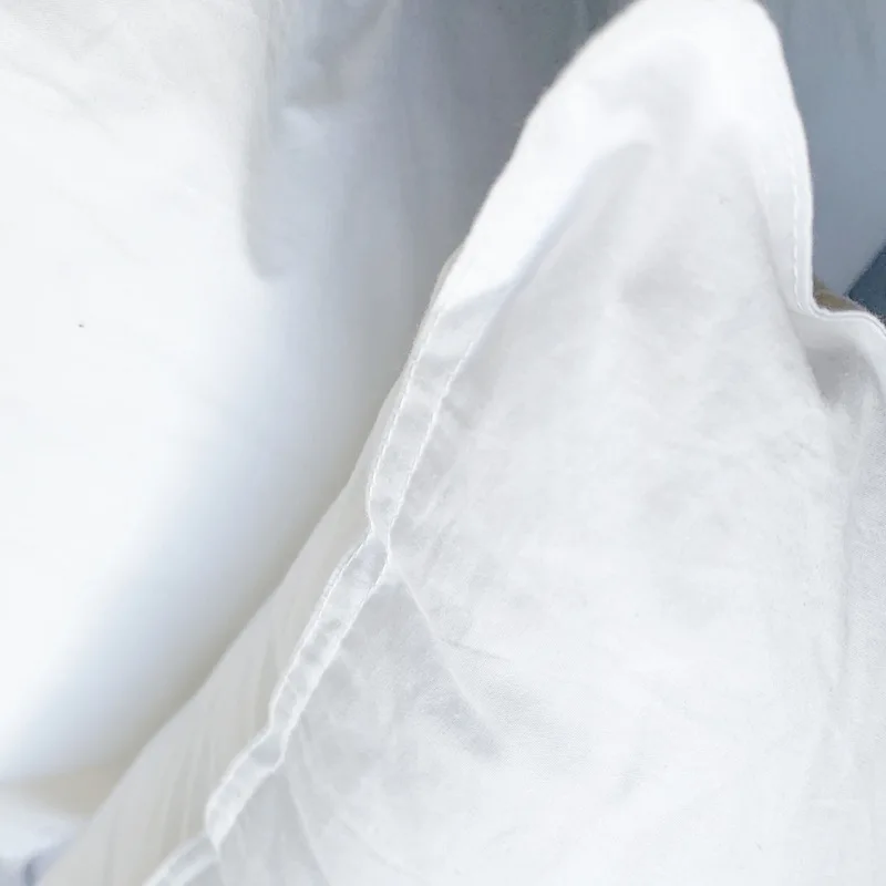 Plain White Square Pillow Napped Cloth Detachable and Washable High Elasticity High Quality Pp Cotton 3D Throw Pillow Core 5