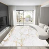 Nordic Abstract Style Rugs for Living Room Marble Pattern Decoration Sofa Coffee Table Carpet Anti-slip Lounge Bedroom Floor Mat 4