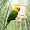 Bird Mirror Wooden Interactive Play Toy With Perch For Small Parrot Budgies Parakeet Cockatiel Conure Lovebird Cage Accessories 2