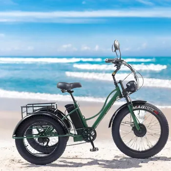 Triciclo elettrico per adulti Batteria rimovibile Gamma di 65 km 750 w 48 W Trasmissione a 7 velocità Bicicletta elettrica da 24 pollici per bici da neve