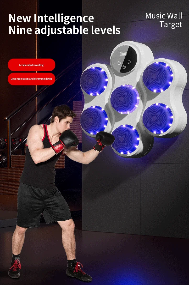 Boxing Trainer Wall Target for Fitness