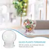 Glass Decorative Micro Landscaping Container Ecological Bottle Dome Cover with Base Terrariums for Plants Landscape Succulent 5