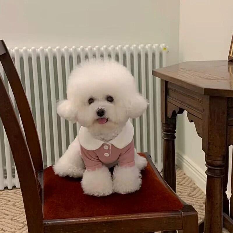 

Cute Solid Dog Clothes Color Casual Pet Bottom Shirt Comfortable Dog T-Shirt Puppy Clothing Teddy For Small Dog Clothes Jackets