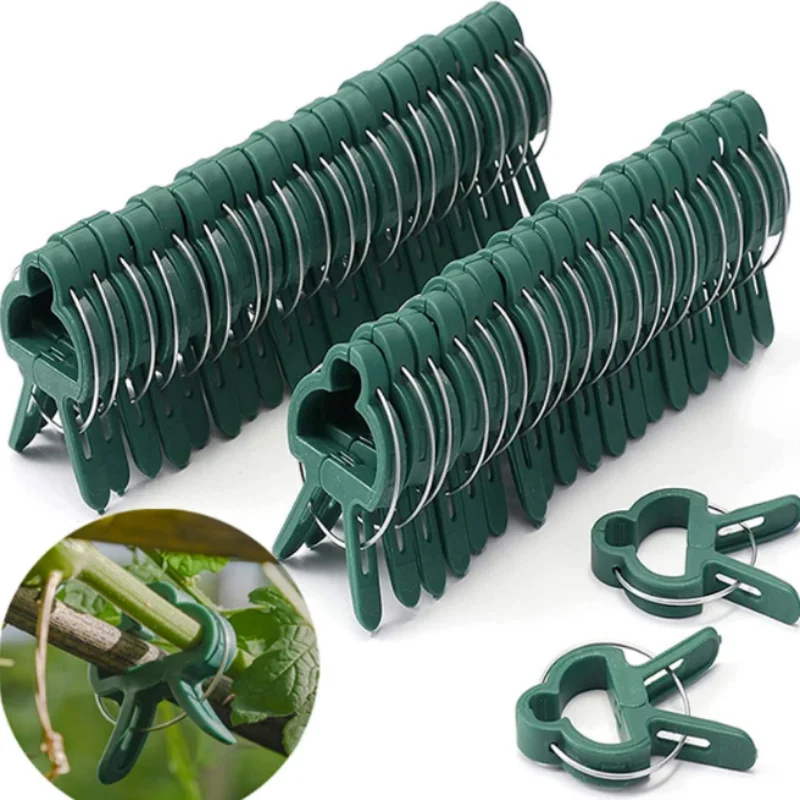 10Pcs Plant Fixed Clips Reusable Garden Greenhouse Bracket for Fixed Plants Vine Flower Seedling Stem Support Garden Supplies