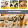Winter Keep Warm Reduce Noise Prevent Fright Adjustable Soft Comfortable Multiple Models Choose Dog Headgear Pet Supplies 4