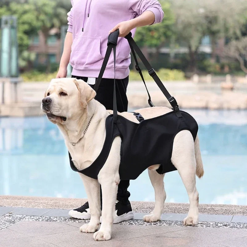 Dog Lift Harness For Large Dogs 4