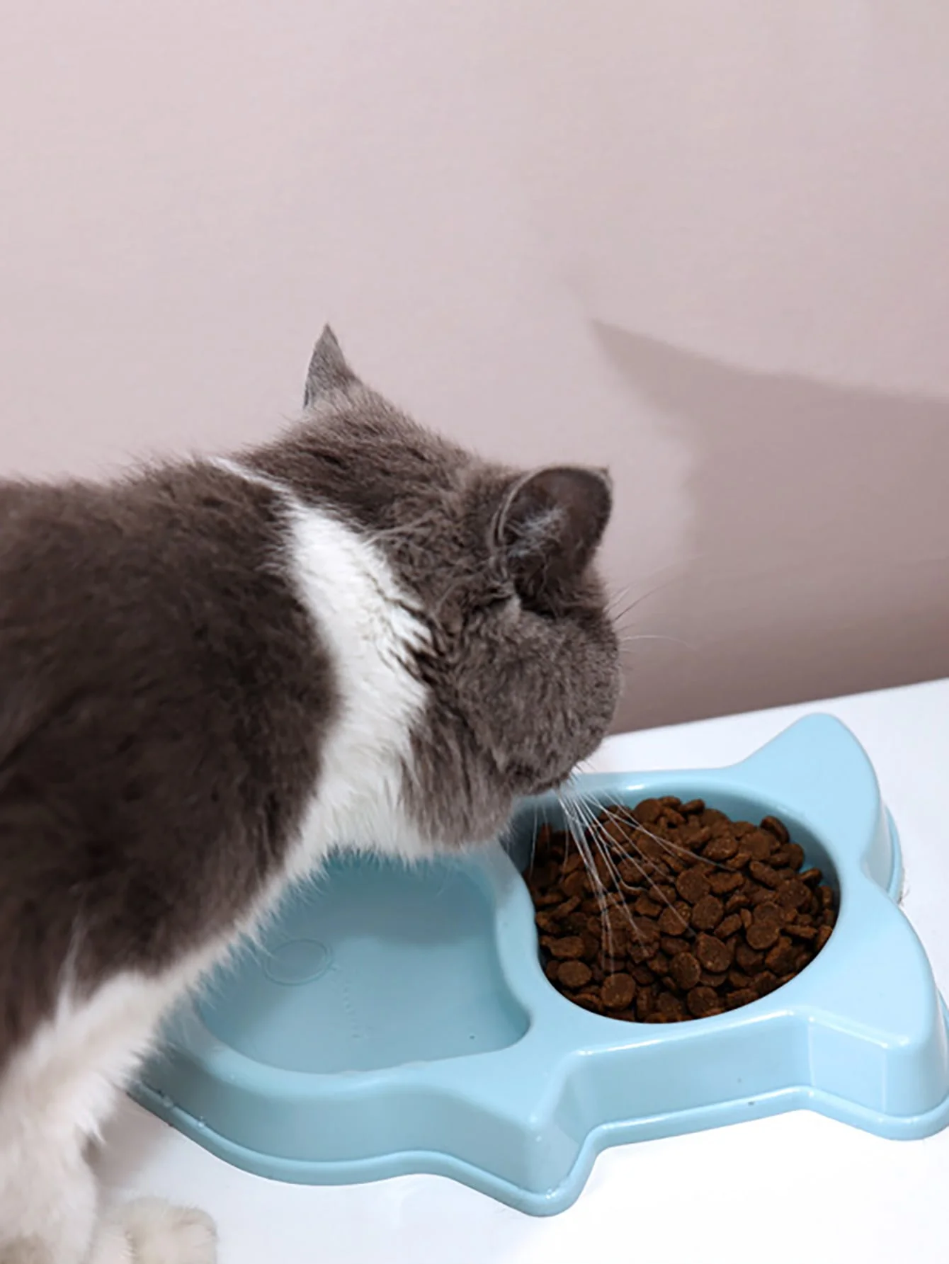 1pc-Pet food bowl with partition bowl anti slip, pet feeding bowl suitable for small and medium-sized dogs and cats