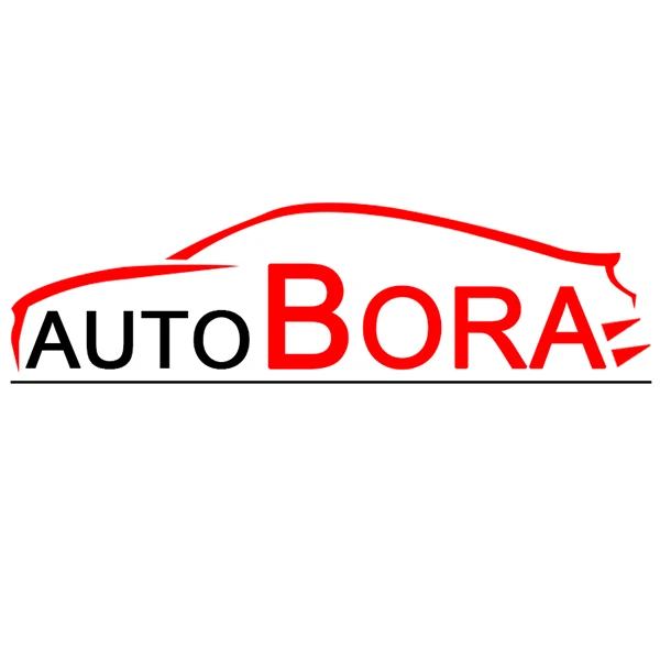 AutoBora Franchise Store