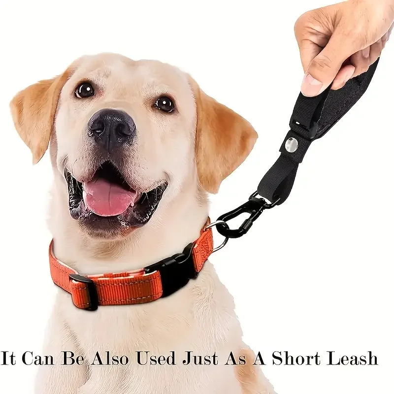 pet anti fall wristband automatic retractable leash for dogs non slip adjustable dog walking strap convenient for taking   details 3