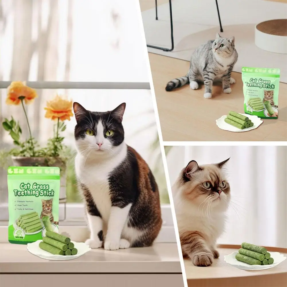 Cat Grass Teeth Grinding Stick Universal Natural Grass Stick Teeth Cat Rod Catnip Cleaning Toys Pet Molar Supplies A3P0 cat grass sticks
