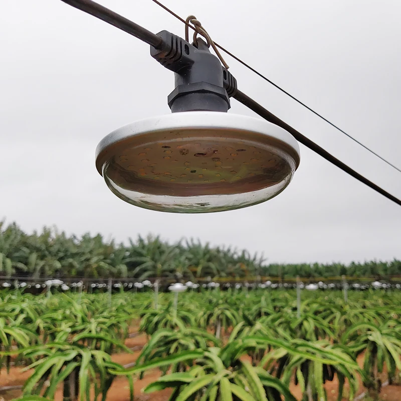 50m outdoor cable with 25pcs E27 lamp holder for grow light 2 cores PVC Sheathed Electrical Cable