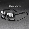 SilveryMirror