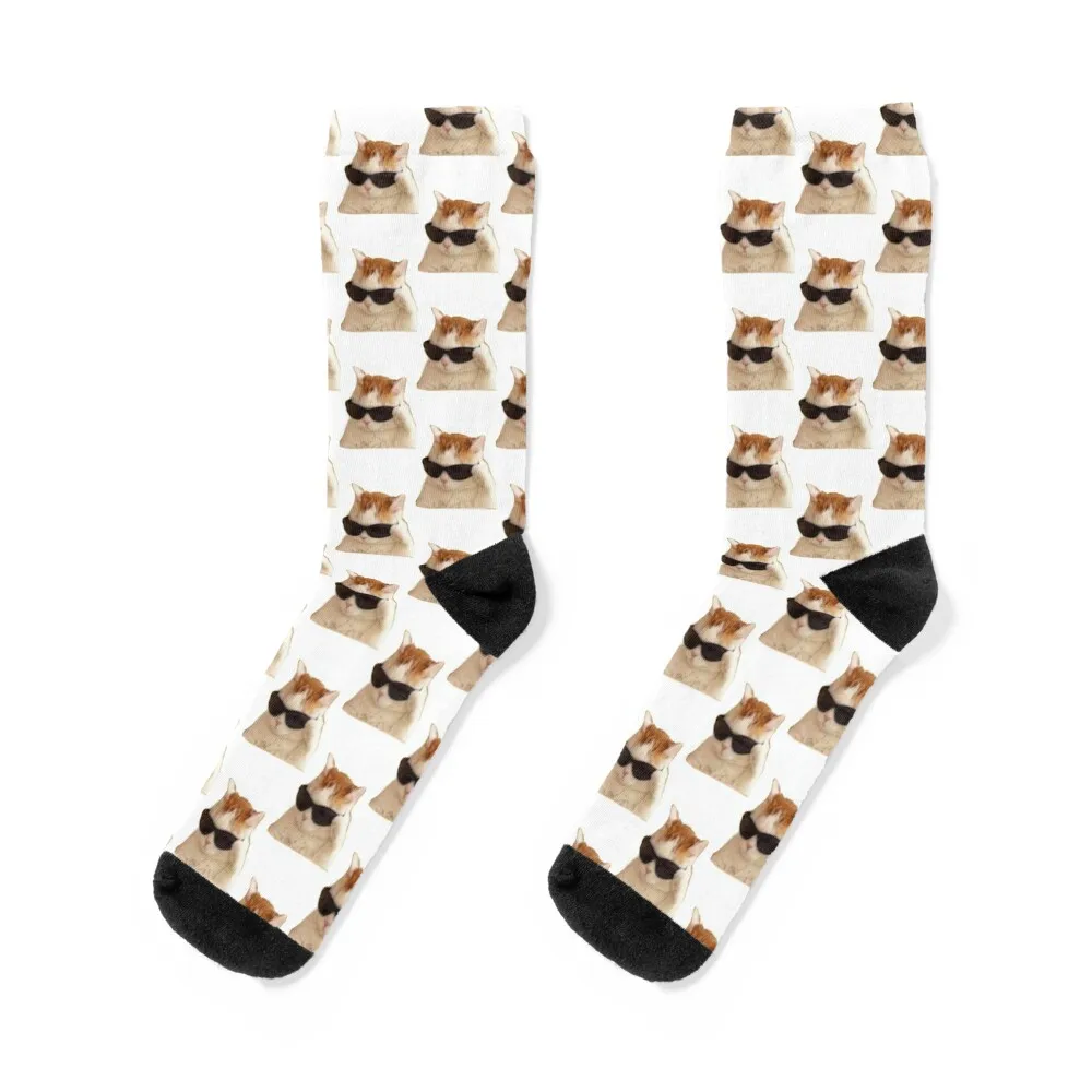 

beluga cat Socks Wholesale man Socks Woman Men's