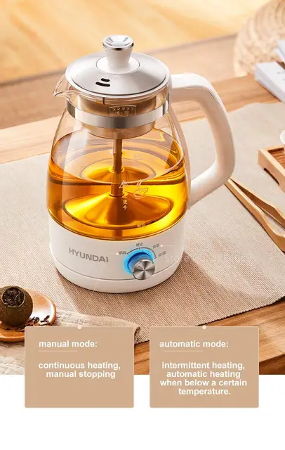 1L Electric Kettle Tea Maker Health Preseving Pot Glass Tea Infuser Pot  Automatic Keep Warm Water Kettle with Filter 220V - AliExpress