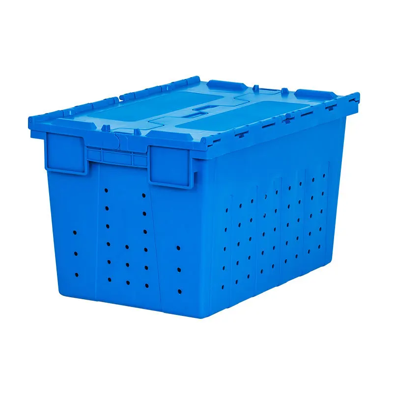 Plastic skew box with holes clamshell turnover box fresh supermarket hollow transfer medical storage distribution