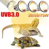 25/50/75W UVB Reptile Lamp Bulb Tortoise Basking UV E27 Bulbs Amphibians Pet Snake Lizard Heating Sunlamp Calcium Supplement 1