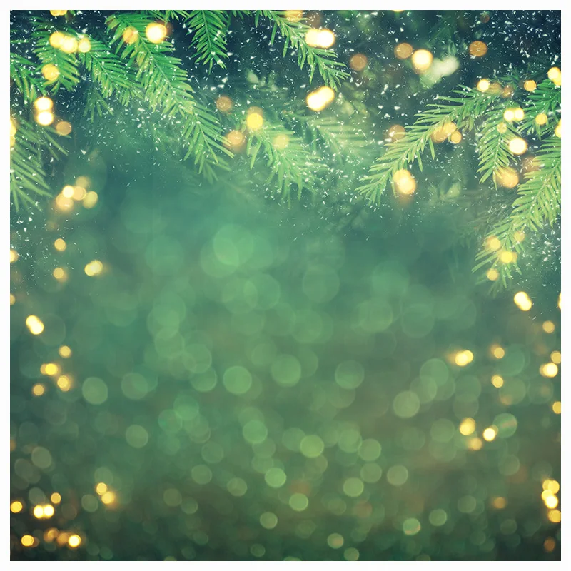 ũ   ǰ  ܿ       Photostudio KUCUN-01