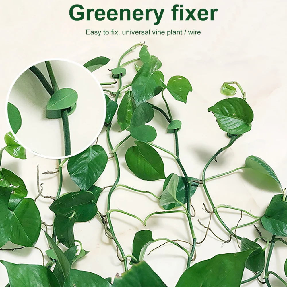 10 Pieces Self-Adhesive Plant Clamps Leaf Shape Wall Climbing Fixture Indoor Outdoor Flower Trainer Holders Cable Organizer
