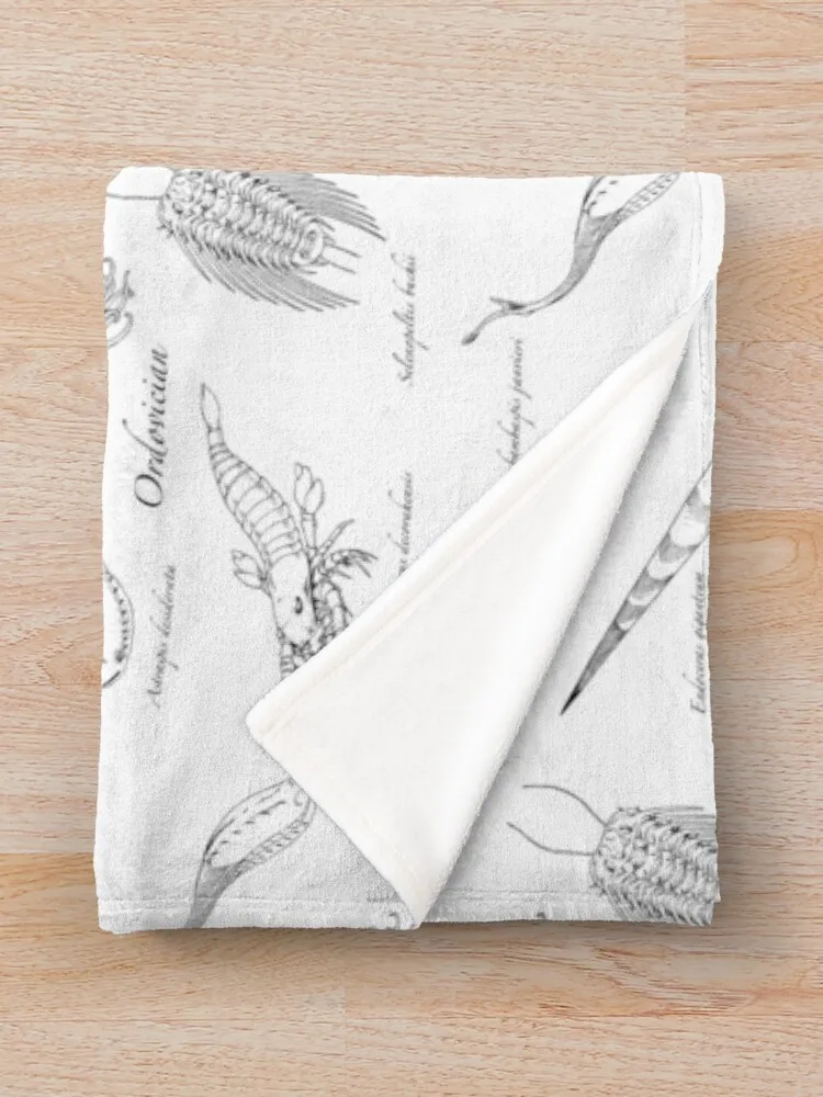 Ordovician Life ���, �ؼ��� �к긯 �����̳� ���