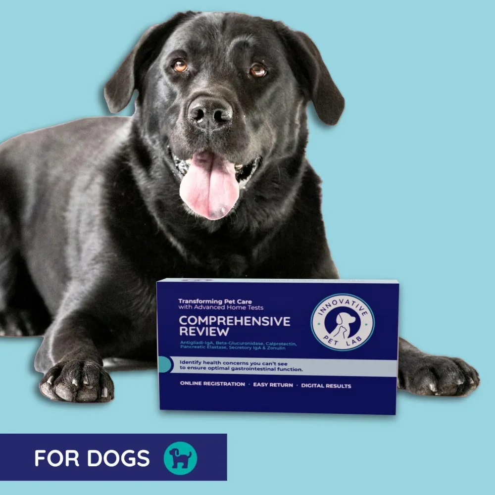 Comprehensive Review at Home Test Kit for Dog Digestive Health Allergy Causes Gut Microbiome Symptoms Evaluation Expert