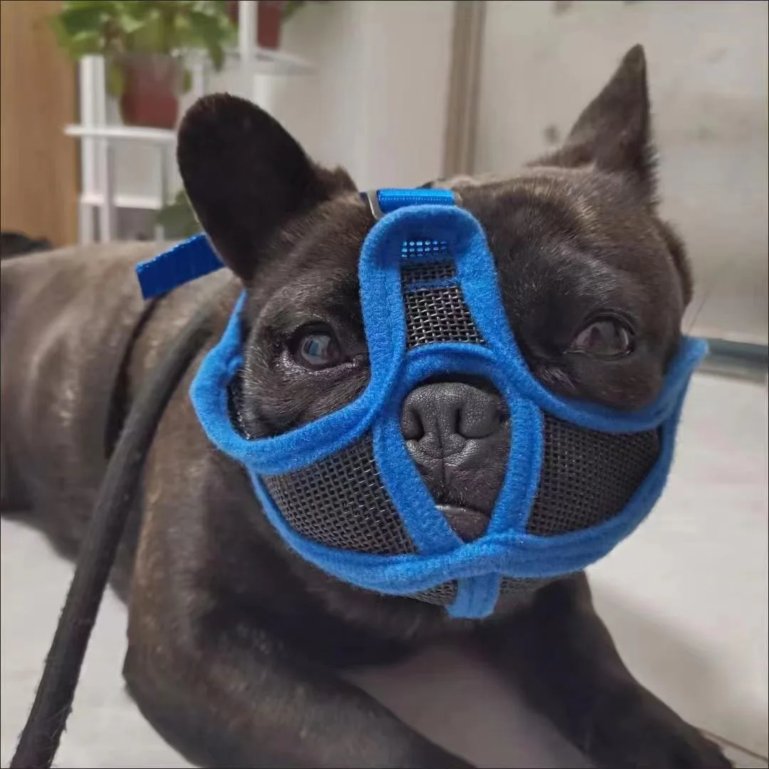 Dog Muzzle French Bulldog Short-mouthed Dog to Prevent Eating Biting