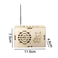 DIY Radio Model Science Kits Crafts Educational Classroom Teaching Building Set 6