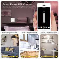 New WiFi Smart Touch Light Dimmer Switch Smart Life/Tuya APP Remote Control Works with Alexa Google Voice Assistants EU - Image 5